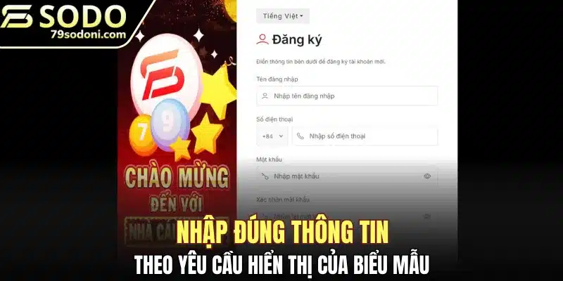 Nhập đúng thông tin theo yêu cầu hiển thị của biểu mẫu
